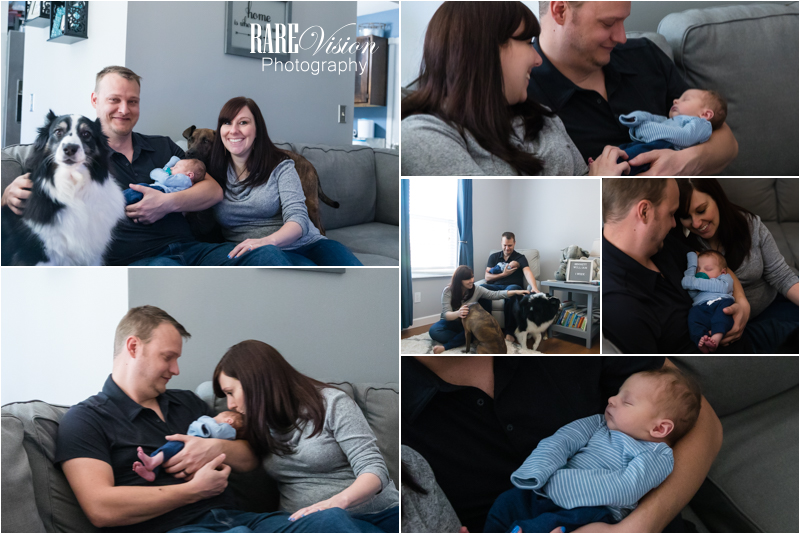 Images of newborn session with dogs