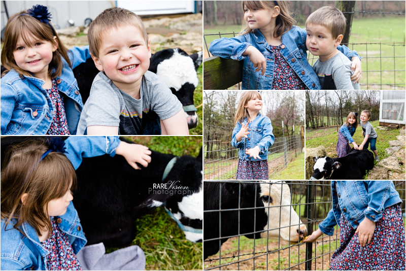 Images of the kids with each other and the cow
