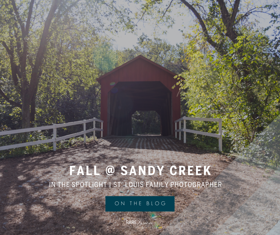 Fall sessions at Sandy Creek cover