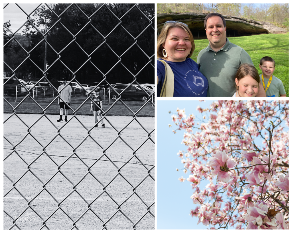 Image of boy on baseball field, family selfie and spring blooming tree