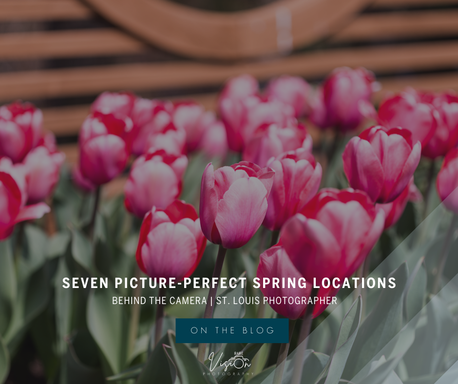 Image of tulips from the Missouri Botanical Garden