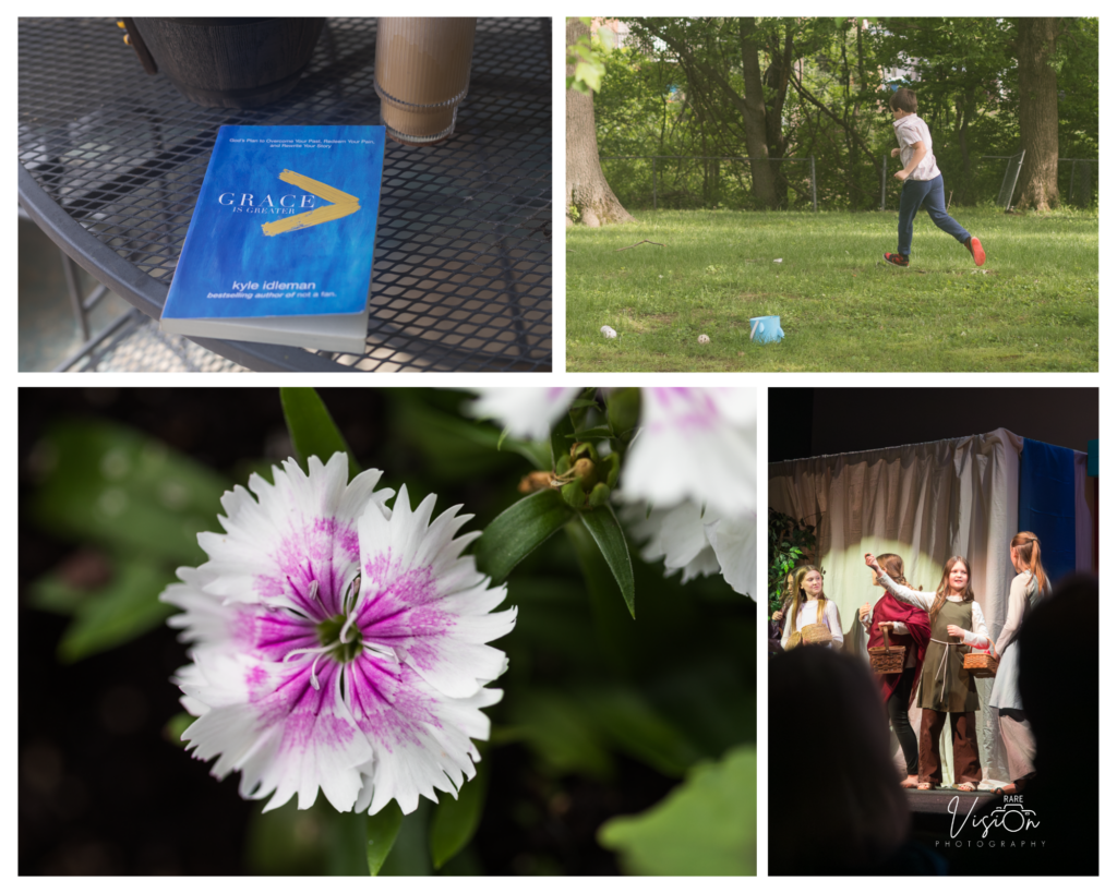 Images of flower detail, theatre, boy running and book